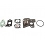 Kit Membrane + Joint Carburateur BRIGGS et STRATTON 692703