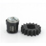 Kit pignon BRIGGS ET STRATTON 495877 - 696539 - 490467