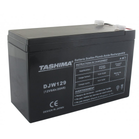 Batterie 12v 9a CASTELGARDEN - GGP 118120010/0