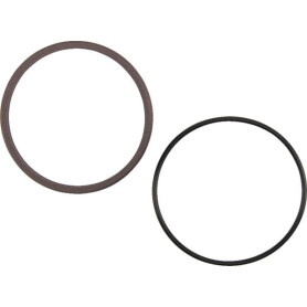 Racleur SEALTECH ASP707886T46N