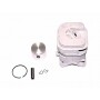 Kit cylindre piston PARTNER 530069606