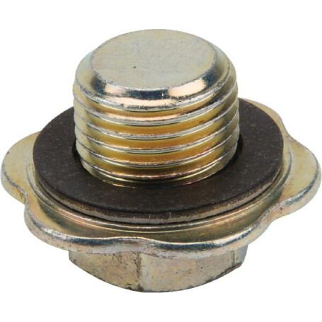 Bouchon de vidange BRIGGS ET STRATTON 825278