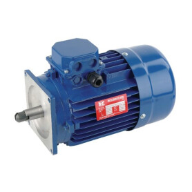 Moteur électrique UNIVERSEL EM90S4MPP300IE3