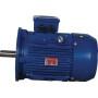 Moteur électrique 4 kW UNIVERSEL EM112M2B5300IE3AKR