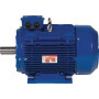 Moteur électrique 4 kW UNIVERSEL EM112L4B3300IE3AKR
