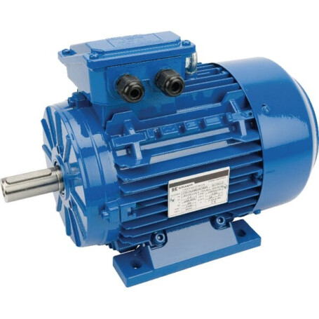 Moteur électrique 2,2 kW UNIVERSEL EM100LA4B3300IE3A