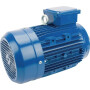 Moteur électrique 2,2 kW UNIVERSEL EM100LA4B14300IE3A