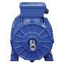 Moteur électrique 18,5 kW UNIVERSEL EM160L2B3500IE3GKR
