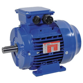 Moteur électrique 0,75 kW UNIVERSEL EM80B4B3300IE3AKR