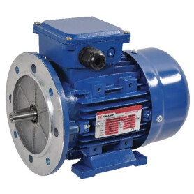 Moteur électrique 0,55 kW UNIVERSEL EM80A4B3B5300IE1A