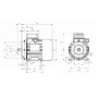 Moteur électrique 0,55 kW UNIVERSEL EM71B2B3B14300IE1A