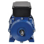 Moteur électrique 0,25 kW UNIVERSEL EM71A4B31B0AKR