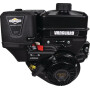 Moteur complet BRIGGS ET STRATTON 19L2370319F1