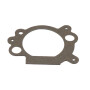 Joint de filtre BRIGGS ET STRATTON 692667