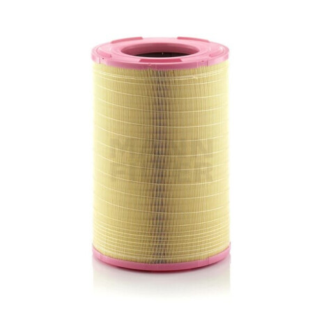 Filtre à air MANN-FILTER C3012401