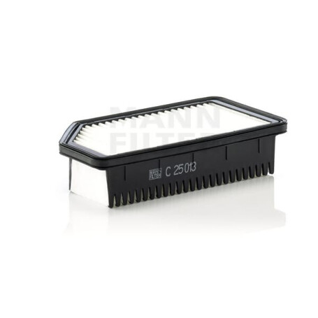 Filtre à air MANN-FILTER C25013