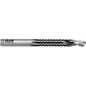 Forêt IZAR 16331IZA