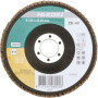 Disque abrasif à lamelles HIKOKI 4100116