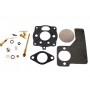 Kit reparación BRIGGS et STRATTON 391071