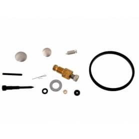 Kit reparación TECUMSEH 631029
