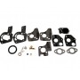 Kit réparation BRIGGS ET STRATTON 494624 - 495606