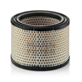 Filtre à air MANN-FILTER C19891