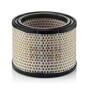 Filtre à air MANN-FILTER C19891