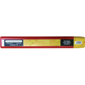 Électrode CASTOLIN 650330CAS