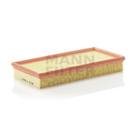 Filtre à air MANN-FILTER C32842