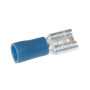 Douille fiche plate bleu LITTELFUSE LF542