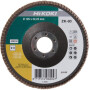 Disque abrasif HIKOKI 4100118