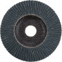 Disque abrasif à lamelles PFERD PFC125Z60SG