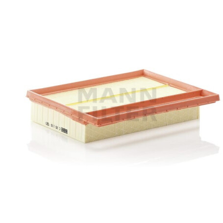 Filtre à air MANN-FILTER C251102