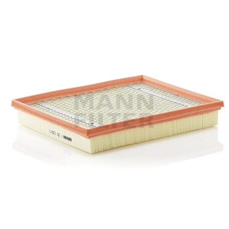 Filtre à air MANN-FILTER C301301