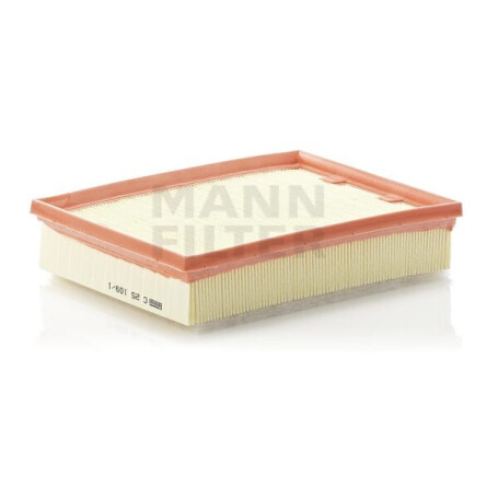 Filtre à air MANN-FILTER C251091