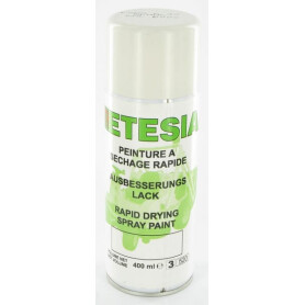 Bombe blanche 400ml ETESIA ET25966
