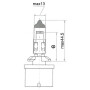 Ampoule UNIVERSEL B12059