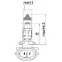Ampoule UNIVERSEL B120600