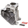 Cylindre BRIGGS ET STRATTON 793508