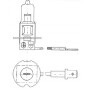 Ampoule UNIVERSEL B4805