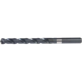 Forêt 10,0mm DORMER A108100