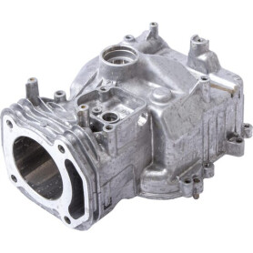 Assemblage de cylindre BRIGGS ET STRATTON 597120