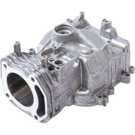 Assemblage de cylindre BRIGGS ET STRATTON 597120