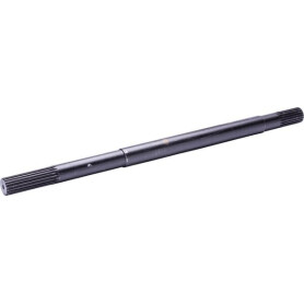 Axe RECINSA 3800247M1N