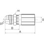 Raccord GATES 10G10MJ