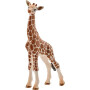 Bébé girafe SCHLEICH 14751SCH