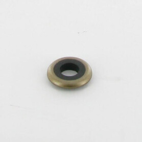 Bague BRIGGS ET STRATTON 691766