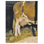 Filet de protection des pis taille XL KERBL 1579060418