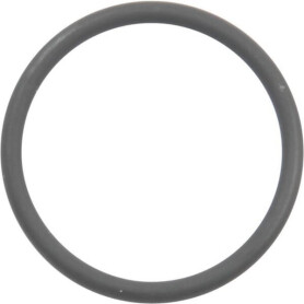 Bague RAICO 5119769N
