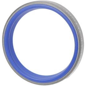 Bague SPICER DANA 001464060